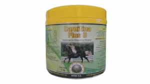 CARNITINA PLUS E POTE X 1 KG.