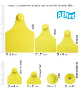 ALLFLEX GRANDE AZUL S/N X 25 (227310)