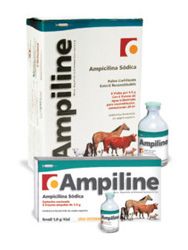 AMPILINE LARGE X FRASCO (RICHOMND) (3003)