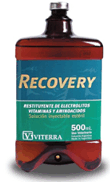 RECOVERY SACHET X 500 ML.