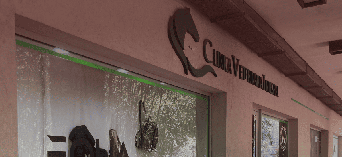 Pueblo Polo Suites Loc. 11