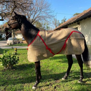 MANTA ARPILLERA DOBLE  CON CINCHA CRUZADA