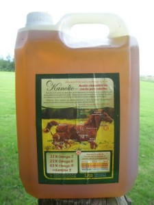 ACEITE DE CANOLA BIDON X 5 LTS.