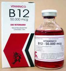 VITAMINICO B 12 50.000 FCO. X 50 ML. (I0032)