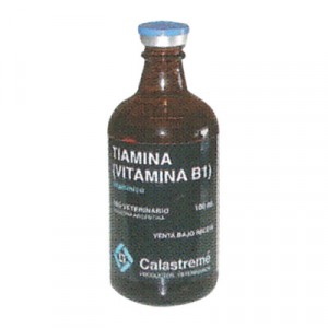 TIAMINA FCO. X 100 ML.