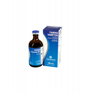 TIAMINA FCO. X 100 ML. (CALASTREME)