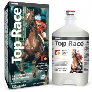 TOP RACE FCO. X 530 ML.                           