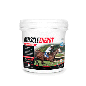 MUSCLE ENERGY BALDE X 2,7 KGS