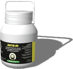 BIOTIN B6 POTE X 1 KG.