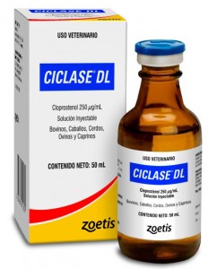 CICLASE DL FRASCO X 20 ML.