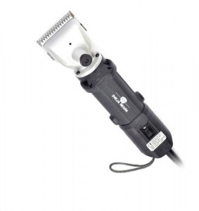 PELADORA GTS 2004 (GRANDE)