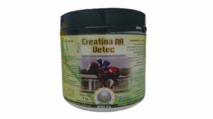 CREATINA AA POTE X 1 KG.