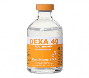 DEXA 40 FCO. X 50 ML. (200MG.)