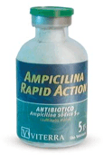 AMPICILINA RAPID ACTION FCO. X 5 GRS. (VITERRA)