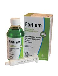 FORTIUM GEL EQUINO MULTIDOSIS X 240 ML.