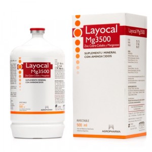 LAYOCAL MG X 500 ML